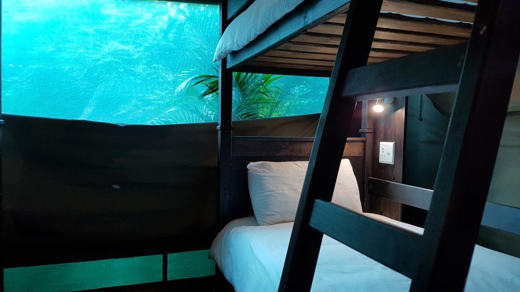 Urban Glamping Tranquil International Backpacking Village Saint Lucia Estuary Exterior foto